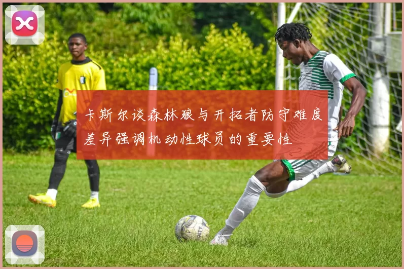 卡斯尔谈森林狼与开拓者防守难度差异强调机动性球员的重要性